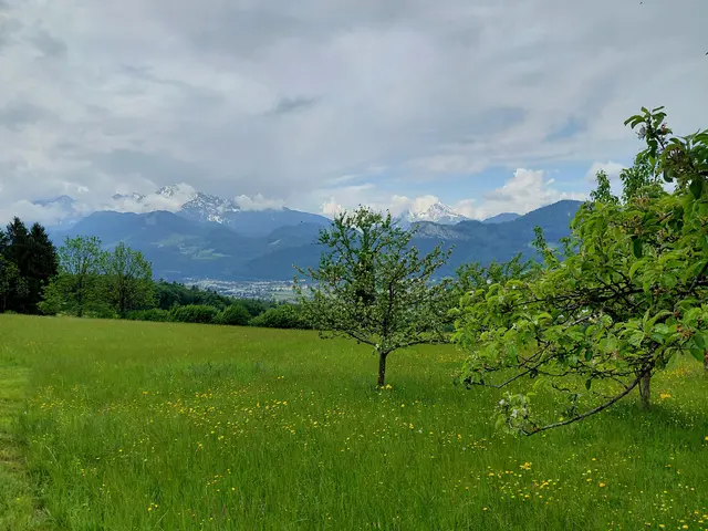 Die Wolken trüben die Aussicht  | Foto: H.Bachinger