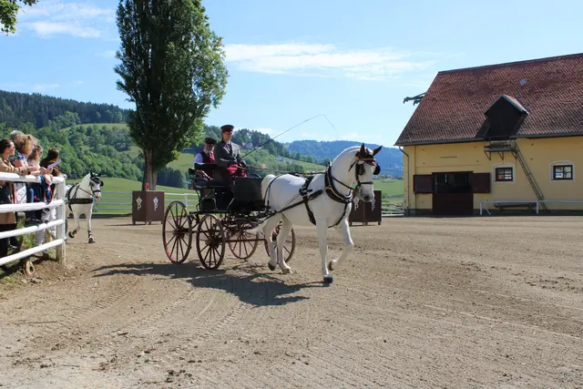 Foto: René Lederer