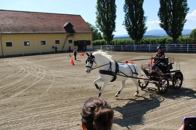 Foto: René Lederer