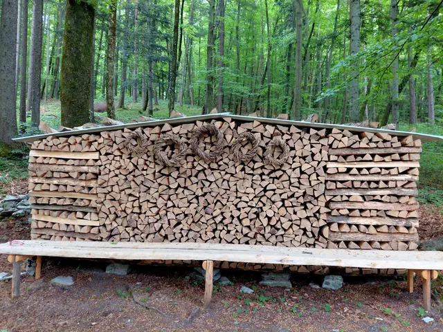 Ein kreatives "Holzhaus" | Foto: H.Bachinger