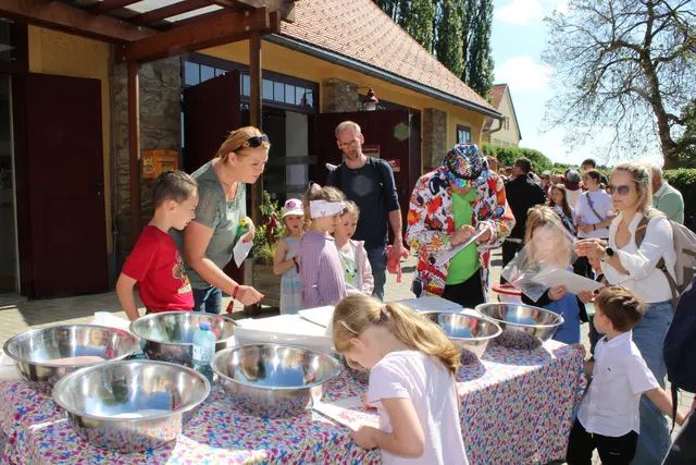 Foto: René Lederer