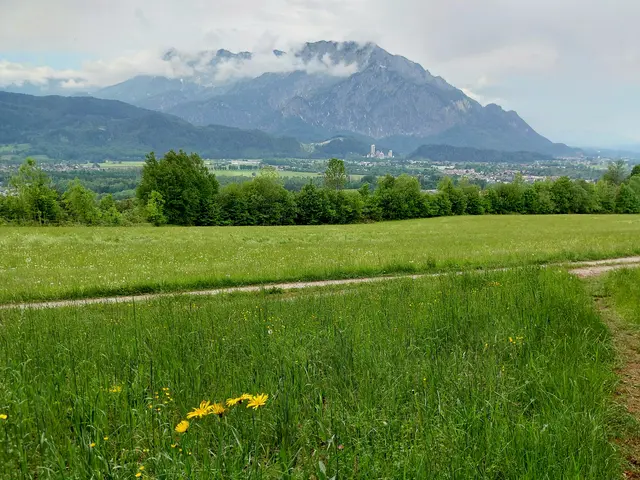 Blick Richtung St. Leohard mit dem Zement Werk Leube | Foto: H.Bachinger