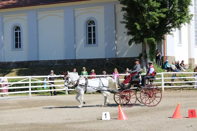 Foto: René Lederer