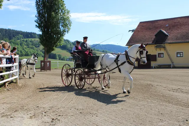 Foto: René Lederer