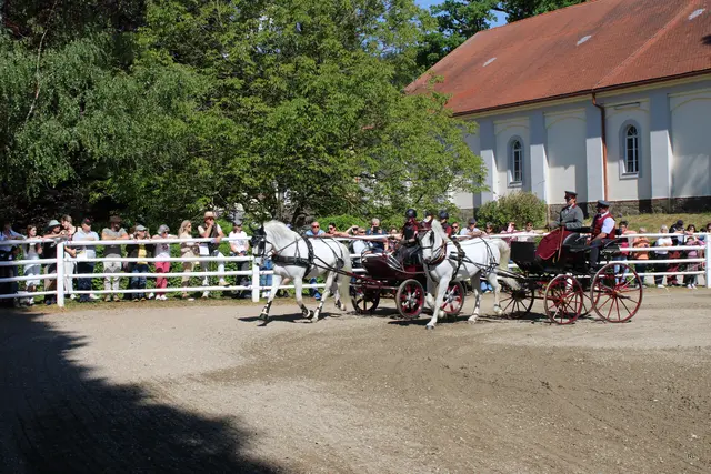 Foto: René Lederer