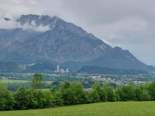 Foto: H.Bachinger