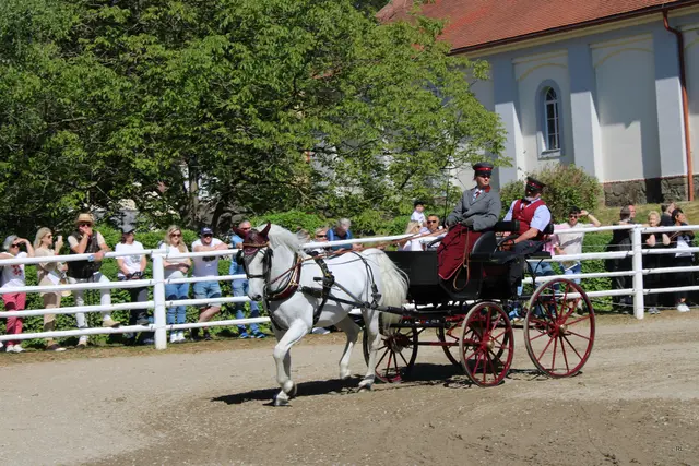 Foto: René Lederer