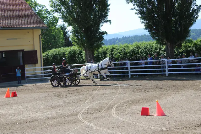 Foto: René Lederer