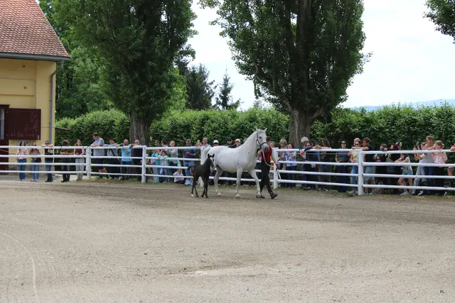 Foto: René Lederer