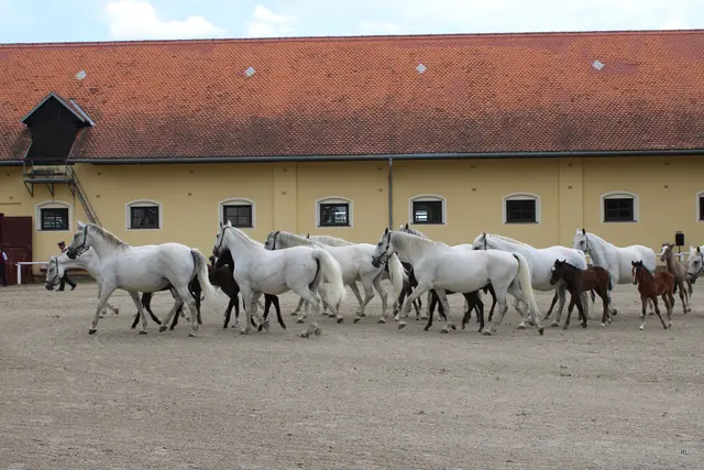 Foto: René Lederer