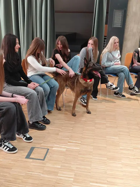 Foto: (c) hlwspittal 2026 Medienteam
