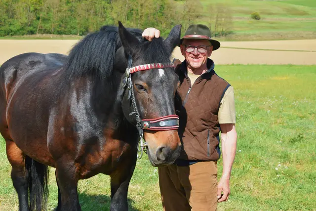 Josef Bauer aus Hameten und sein Noriker "Romeo" sind ein richtiges Dream-Team.  | Foto: Michaela Müller