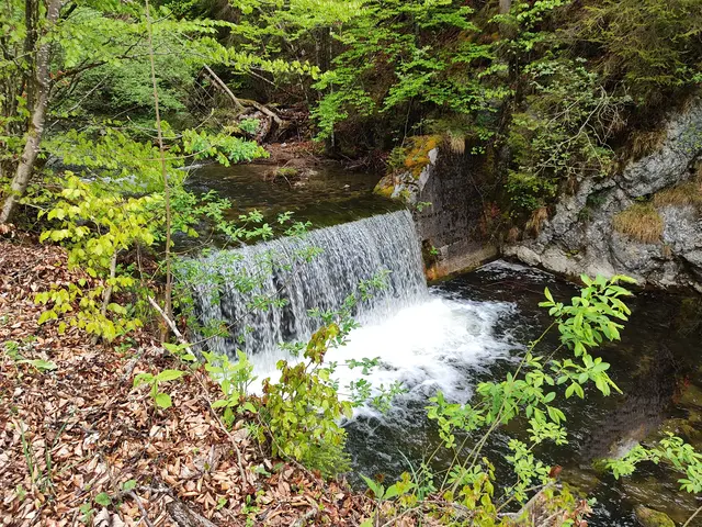 Schön rauscht der Bach 