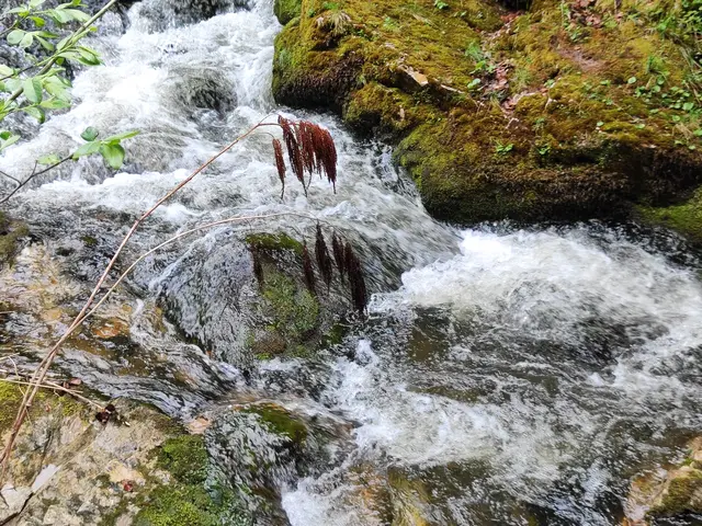 Das Wasser rauscht.