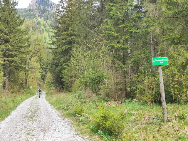 Gemütlich immer der Straße nach.