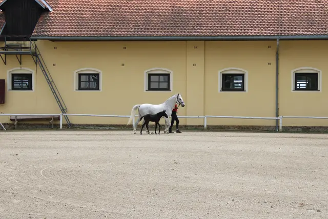 Foto: René Lederer