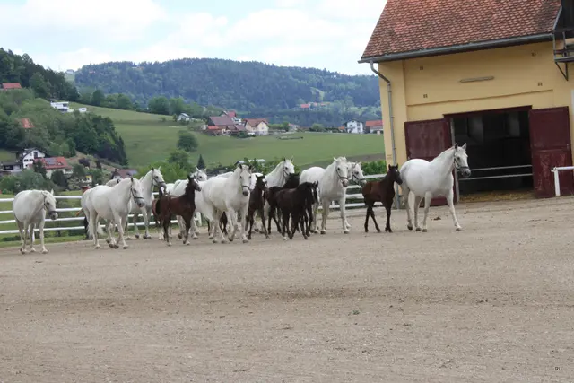 Foto: René Lederer