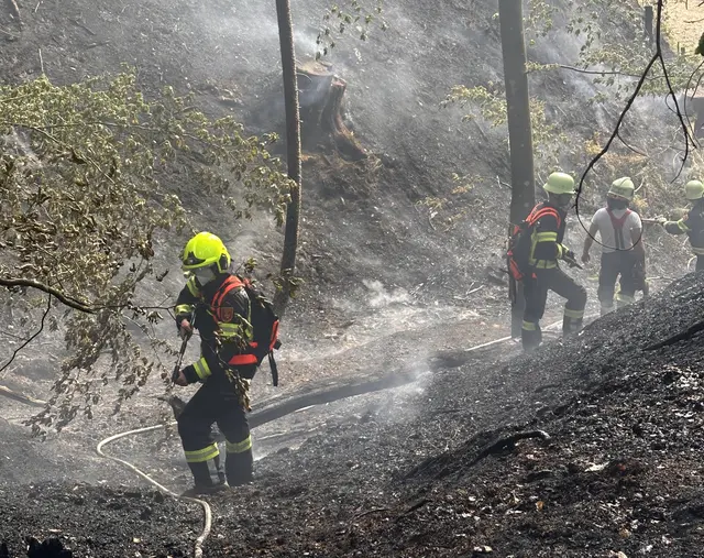 Feuerwehren konnten Waldbrand am Kömmel schnell unter Kontrolle bringen