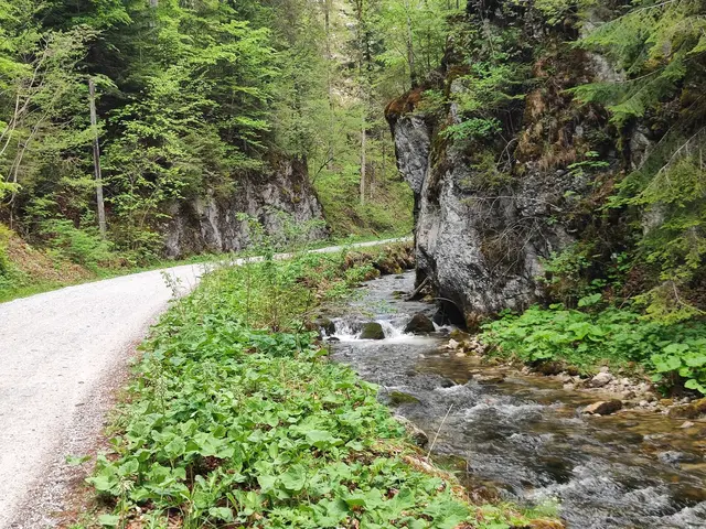 Der Weg ist gemütlich und einfach.