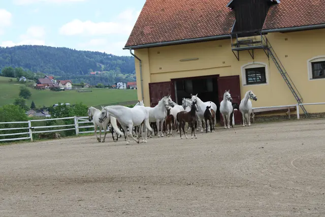 Foto: René Lederer
