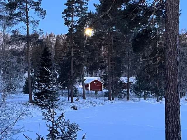 Die Sauna in dem der Gärprozess stattfindet | Foto: Victoria Nagy