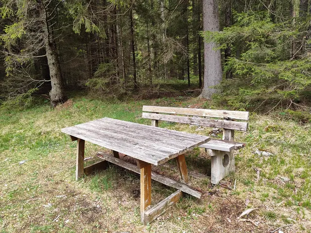 Etwa an der Hälfte der Strecke... | Foto: I.Wozonig 