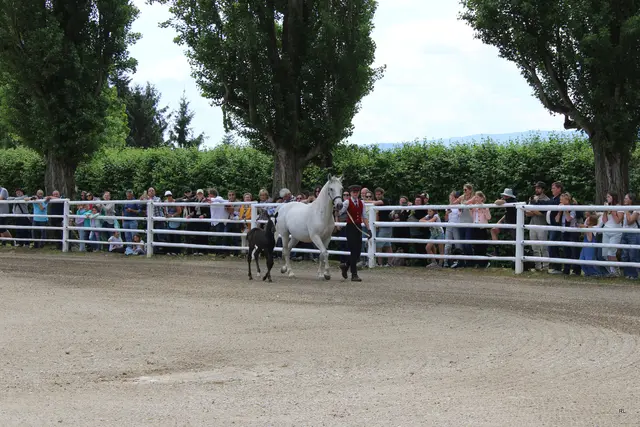 Foto: René Lederer
