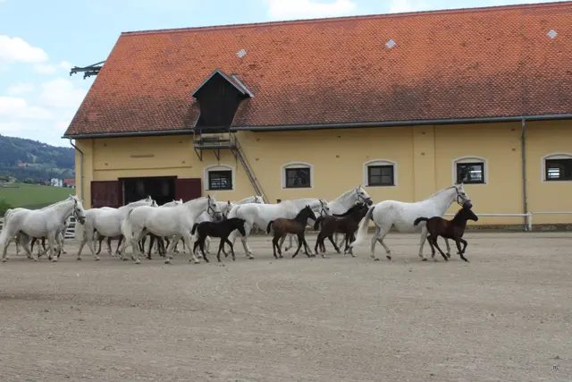 Foto: René Lederer