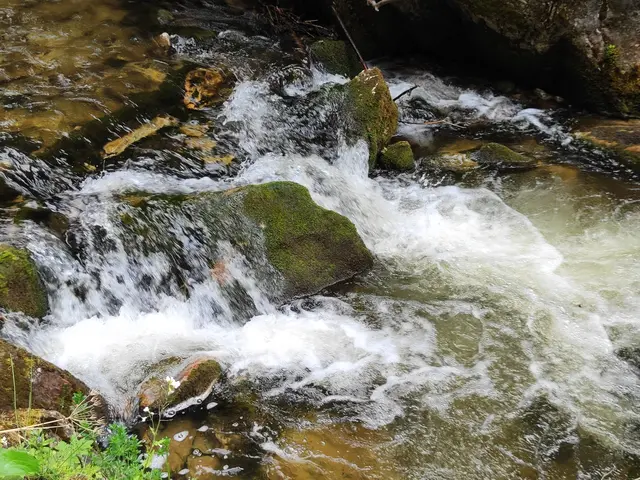 Schön ist der Bach.