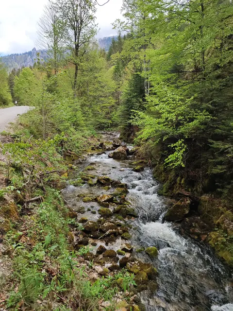 Manchmal fließt das Wasser ruhiger.