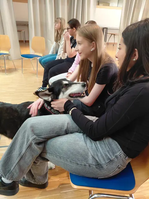Foto: (c) hlwspittal 2026 Medienteam