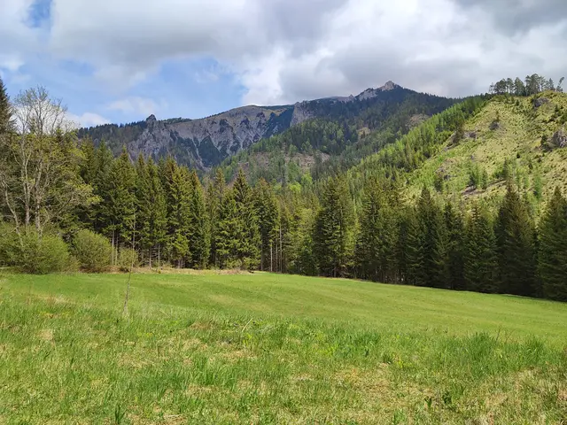 Die Berge gehören zur Schneealpe.
