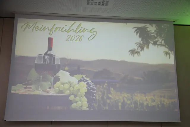 Foto: MeinBezirk Linz-Land & RK Traun/Hellrigl