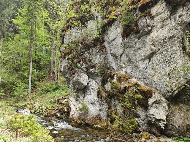 Steile Felswände sind zu sehen.