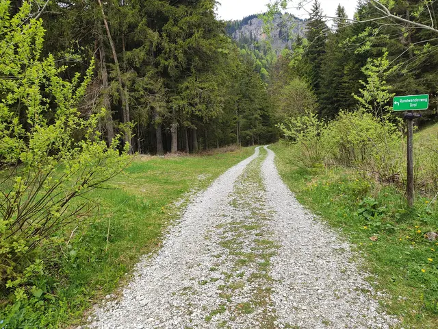Der Weg geht jetzt nach links weiter.