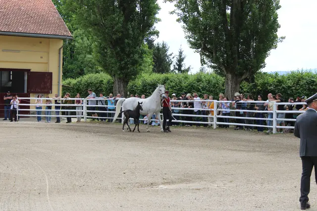 Foto: René Lederer