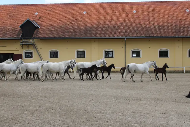Foto: René Lederer