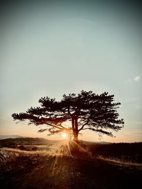 Am Nachmittag legt das Wetter dann richtig los – quasi das Tagesprogramm „Best of Niederösterreich-Mix“. (Symbolfoto)  | Foto: Sandra Richter