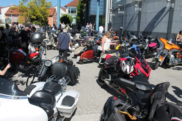 Foto: MeinBezirk Linz-Land