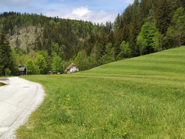 Hinter der Wiese geht es weiter.
