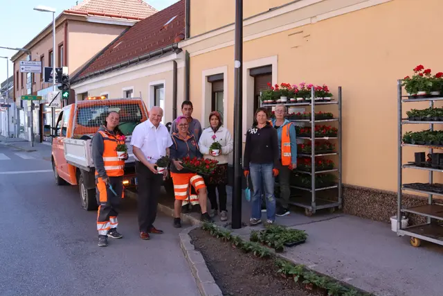 Bürgermeister Ernst Wendl besucht die Mitarbeiter des Wirtschaftshofes beim Auspflanzen der Blumenbeete. | Foto: Gemeinde Himberg