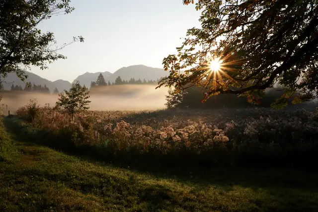 Ein wunderschöner, spätsommerlicher und teils nebliger Sonnenaufgang am Abtenauer Egelsee.