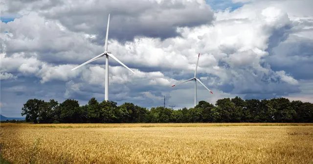 Zwei Windräder hinter Getreidefeld und Bäumen (Symbolbild). | Foto: smarterpix/io_nia