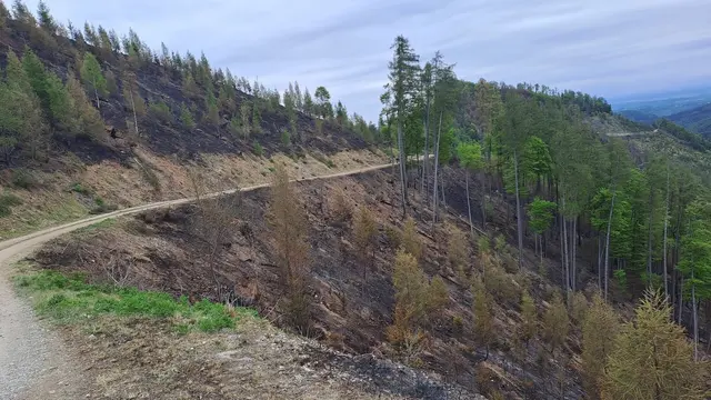 Nach 17 Tagen Waldbrand am Mühlbachkogel konnte jetzt endlich "Brand aus" verkündet werden. | Foto: BFVGU