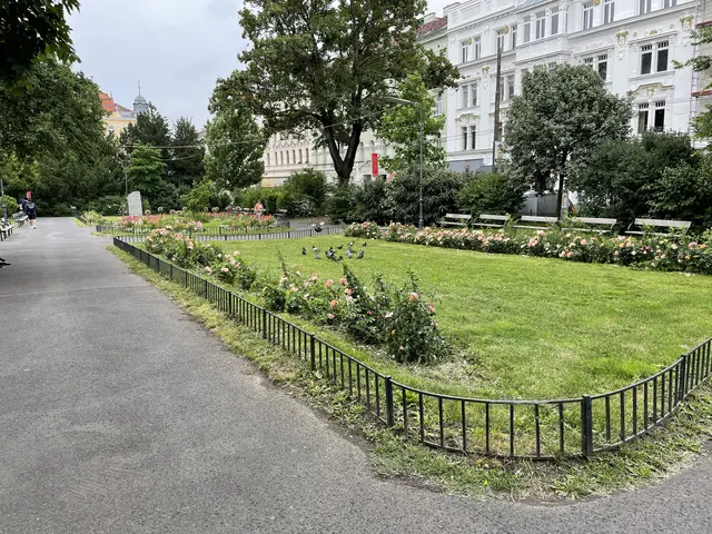 Was ist gut am Aumannplatz? Was könnte besser werden? Bezirksbewohnerinnen und Bezirksbewohner können mitbestimmen. | Foto: Johannes Reiterits