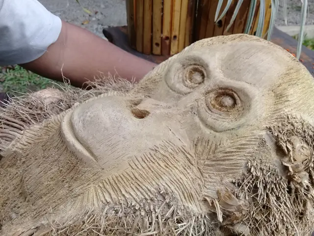 Orang-Utan-Figur aus Naturmaterialien im „Orangutan Haven“ auf Sumatra als Symbol für den Schutz bedrohter Menschenaffen im Regenwald.