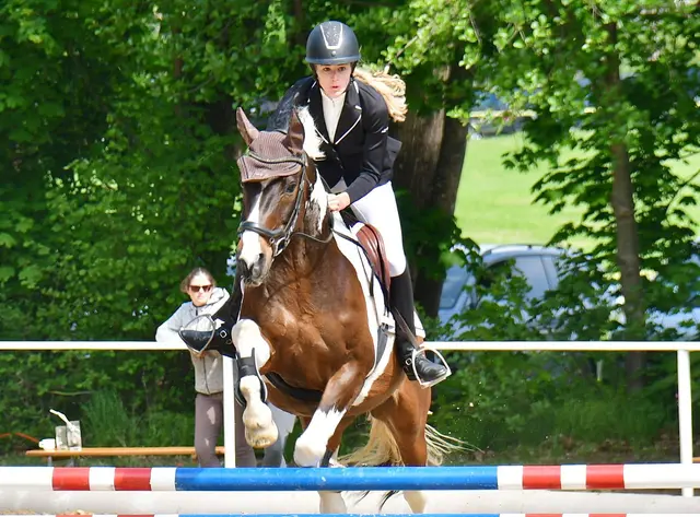Simone Flör auf Leihpferd Sandrino