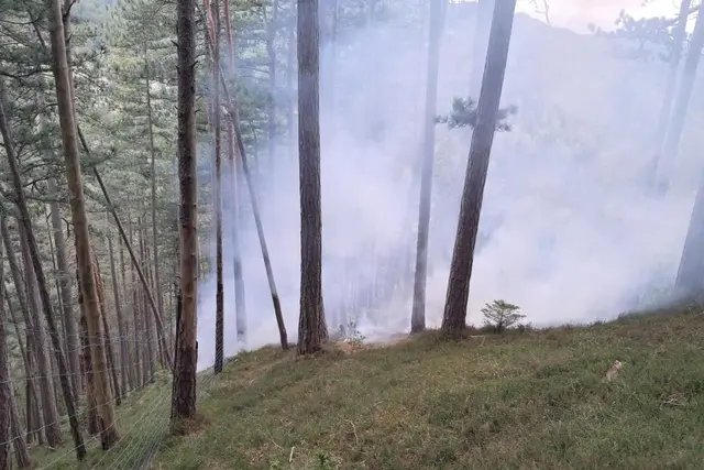 Foto: FF Gutenstein