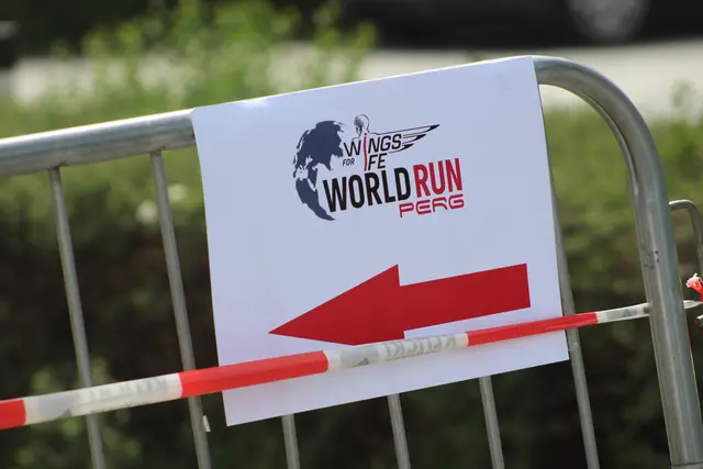  "Wings for Life Run" 2026 in Perg | Foto: MeinBezirk Perg/Köck