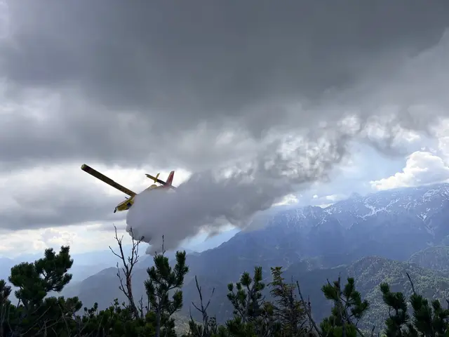 Florianis aus Bezirk nahmen an Waldbrandübung am Kasberg teil